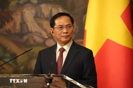 Le vice-Premier ministre Bui Thanh Son. Photo: VNA