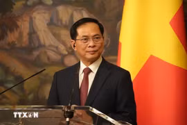 Le vice-Premier ministre Bui Thanh Son. Photo: VNA
