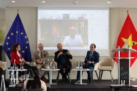 Débats lors du séminaire. Photo: VNA