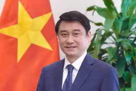 Le vice-ministre des Affaires étrangères, Le Anh Tuan. Photo: ministère des Affaires étrangères