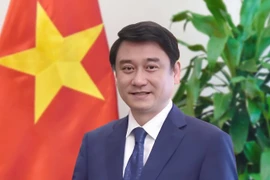 Le vice-ministre des Affaires étrangères, Le Anh Tuan. Photo: ministère des Affaires étrangères