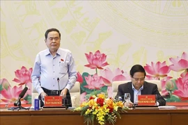 Ke président de l’Assemblée nationale, Tran Thanh Man, prend la parole lors de l'événement. Photo: VNA