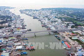 L'estuaire de Song Doc, l'un des plus grands estuaires du delta du Mékong. Photo : Huynh Anh - VNA