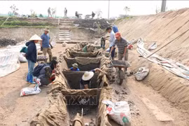 Chaque embarcation fait 16 mètres de long et entre 1,95 et 2 mètres de large — des dimensions imposantes qui en font un type unique dans l’histoire de l’archéologie vietnamienne. Photo: VNA