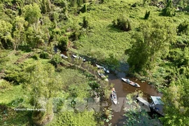 Le Vietnam renforcera également la coopération régionale et internationale à travers des échanges réguliers avec l’Union européenne et ses États membres sur l’évaluation des risques, les procédures et les indicateurs de suivi, l’établissement d’un dialogue avec le Centre commun de recherche (JRC) de l’UE afin d’harmoniser les données cartographiques forestières. Photo d'illustration: VNA