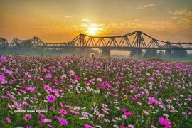La beauté du pont Long Bien, symbole culturel et historique de Hanoi. Photo : VNA
