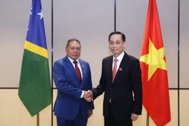 Le ministre des Affaires étrangères Le Hoai Trung (à droite) et le ministre des Affaires étrangères et du Commerce extérieur des Îles Salomon, Peter Shanel Agovaka. Photo: ministère des Affaires étrangères