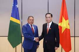 Le ministre des Affaires étrangères Le Hoai Trung (à droite) et le ministre des Affaires étrangères et du Commerce extérieur des Îles Salomon, Peter Shanel Agovaka. Photo: ministère des Affaires étrangères