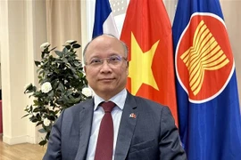 L’ambassadeur du Vietnam en France, Dinh Toan Thang. Photo: VNA