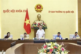 Le président de l’Assemblée nationale, Tran Thanh Man, s'exprime lors de la réunion. Photo: VNA