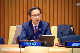 L’ambassadeur Do Hung Viet, chef de la Mission permanente du Vietnam auprès de l’ONU. Photo: VNA