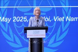 L'ambassadrice d'Australie au Vietnam, Gillian Bird. Photo: VNA