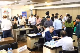 Panorama d'une rencontre directe entre entreprises. Photo: VNA