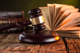 La Résolution n°66-NQ/TW est considérée comme un document politique de portée stratégique pour le perfectionnement des institutions, du système juridique et de la gouvernance nationale du Vietnam. Photo d'illustration: baochinhphu