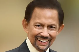 Le Sultan de Brunei, Haji Hassanal Bolkiah. Photo: VNA