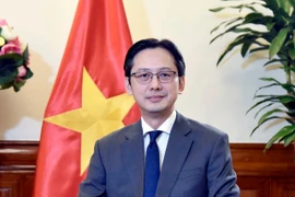 Le vice-ministre des Affaires étrangères, Do Hung Viet. Photo: VNA