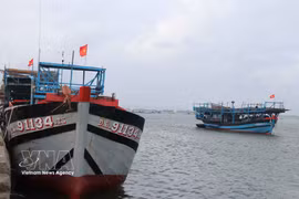 À ce jour, 100 % des navires de pêche sont marqués et numérotés conformément à la réglementation, et leurs informations sont mises à jour dans la base de données nationale des pêches. Photo : VNA