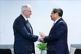 Le Premier ministre Pham Minh Chinh (à droite) et Neil Pollock, vice-président de la Chambre de Commerce et d’Industrie d’Afrique du Sud. Photo: VNA
