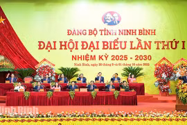 Congrès de l'organisation du Parti de Ninh Binh pour le mandat 2025-2030. Photo: VNA