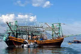 Les gardes-frontières de Da Nang vérifient les documents de départ de bateaux de pêche. Photo : VNA