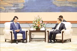 Le général Trân Quang Phuong, membre du Comité central du Parti communiste du Vietnam (PCV) et vice-président de l’Assemblée nationale, et Wang Xiaohui, membre du Comité central du Parti communiste chinois (PCC) et secrétaire du Comité provincial du PCC du Sichuan. Photo: VNA