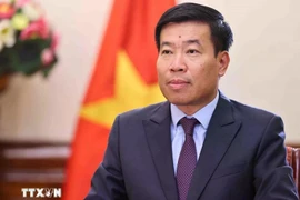 Le vice-ministre des Affaires étrangères, Nguyên Manh Cuong. Photo: VNA
