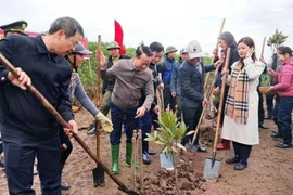 Le ministre des Ressources naturelles et de l'Environnement, Do Duc Duy, les dirigeants du Comité populaire de la province de Thai Binh et les délégués plantent des arbres dans la Réserve naturelle des zones humides de Thai Thuy. Photo : Vietnam+