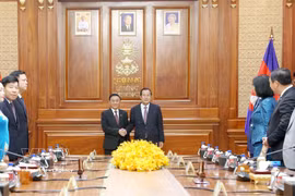 Tran Cam Tu, membre du Bureau politique et permanent du Secrétariat du Comité central du Parti communiste du Vietnam (PCV), et Samdech Techo Hun Sen, chef d'État par intérim du Cambodge, président du Parti du Peuple cambodgien (PPC) et président du Sénat du Cambodge. Photo: VNA