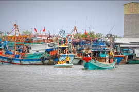 Des agents se rendent directement à bord pour expliquer en détail les réglementations relatives à la lutte contre la pêche INN. Photo: VNA