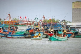 Des agents se rendent directement à bord pour expliquer en détail les réglementations relatives à la lutte contre la pêche INN. Photo: VNA