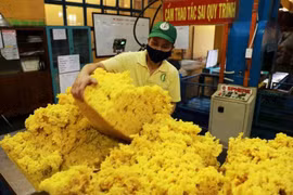 Transformation de caoutchouc pour l'exportation à l'usine de la société Phu Rieng, province de Binh Phuoc. Photo : VNA