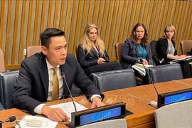 L’ambassadeur Dang Hoang Giang, chef de la Mission permanente du Vietnam auprès de l’ONU. Photo: VNA