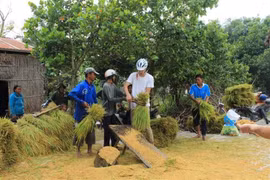 Un touriste étranger découvre le travail agricole à An Giang. Photo : VNA
