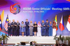 Le vice-ministre des Affaires étrangères Do Hung Viet (cinquième à partir de la gauche) avant la réunion des hauts officiels de l'ASEAN (SOM). Photo: VNA