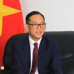 L’ambassadeur du Vietnam en Algérie, Trân Quôc Khanh. Photo: VNA