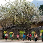 L'Assemblée nationale a approuvé l'investissement de 423 000 milliards de dôngs au Programme cible national pour l'édification de la Nouvelle ruralité, la réduction durable de la pauvreté et le développement socio-économique des zones montagneuses et peuplées de minorités ethniques pour la période 2026-2030. Photo: VNA