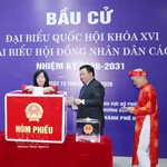 Bui Thi Minh Hoai, membre du Bureau politique, secrétaire du Comité central du Parti et présidente du Comité central du FPV, dépose son bulletin de vote dans l'urne. Photo: VNA
