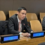 Le vice-ministre des Affaires étrangères, Dang Hoàng Giang. Photo: VNA