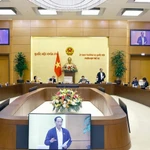 L'Assemblée nationale examine les préoccupations des citoyens sur le commerce en ligne. Photo: VNA