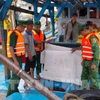 Les gardes-frontières de la province de Dông Thap inspectent et vérifient la conformité aux règles sur la pêche INN des bateaux avant leur sortie en mer. Photo : VNA