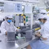 Fabrication de composants électroniques dans la compagnie Star Engineers Vietnam, basée dans le Parc industriel Binh Xuyên I, province de Phu Tho (Nord). Photo : VNA