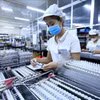 D’ici à 2030, le Vietnam ambitionne de figurer parmi les pays les plus performants de l’ASEAN en matière d’environnement des affaires. Photo: VNA