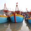 Des bateaux de pêche mouillent au port de pêche de Vàm Lang, commune de Gia Thuân, province de Dông Thap. Photo : VNA