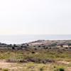 Le futur emplacement de la centrale nucléaire de Ninh Thuân 1, dans le village de Vinh Truong, commune de Phuoc Dinh. Photo : VNA