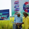 Un agriculteur de An Giang teste une station de capteurs d'irrigation économe en eau dans le cadre du programme d’un million d’hectares de riz de haute qualité à faibles émissions. Photo : VNA