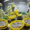 Transformation de crevettes congelées pour l'exportation dans l'usine du groupe Minh Phu, dans la province de Hâu Giang. Photo : VNA