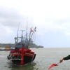 Quang Ngai renforce la lutte contre la pêche INN en vue du retrait de l’avertissement de "carton jaune" sur les exportations de produits aquatiques vietnamiens. Photo: VNA