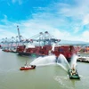 Vue panoramique du complexe portuaire de Cai Mep-Thi Vai, l'un des plus grands complexes portuaires en eau profonde d'Asie du Sud-Est. Photo : NDEL