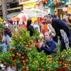 Deux touristes étrangers au marché aux fleurs de Hàng Luoc, à Hanoi, lors du Têt du Cheval 2026. Photo: VNA
