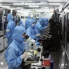 Ligne de production de modules de caméra et de composants électroniques dans l'usine de MCNEX VINA Co. Ltd, une entreprise à capitaux sud-coréens située dans le parc industriel de Phuc Son, province de Ninh Binh. Photo : VNA